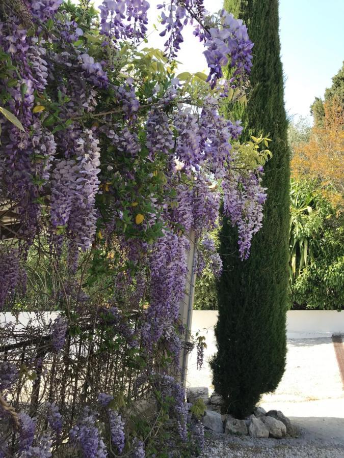 Bastide Nomade - Guest House Saint-Paul-de-Vence Exterior photo